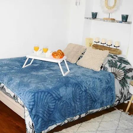 Studio Alexis Proche Centre Appartement